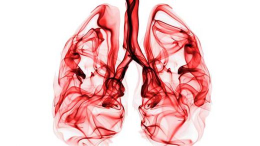 akciğerin önemi